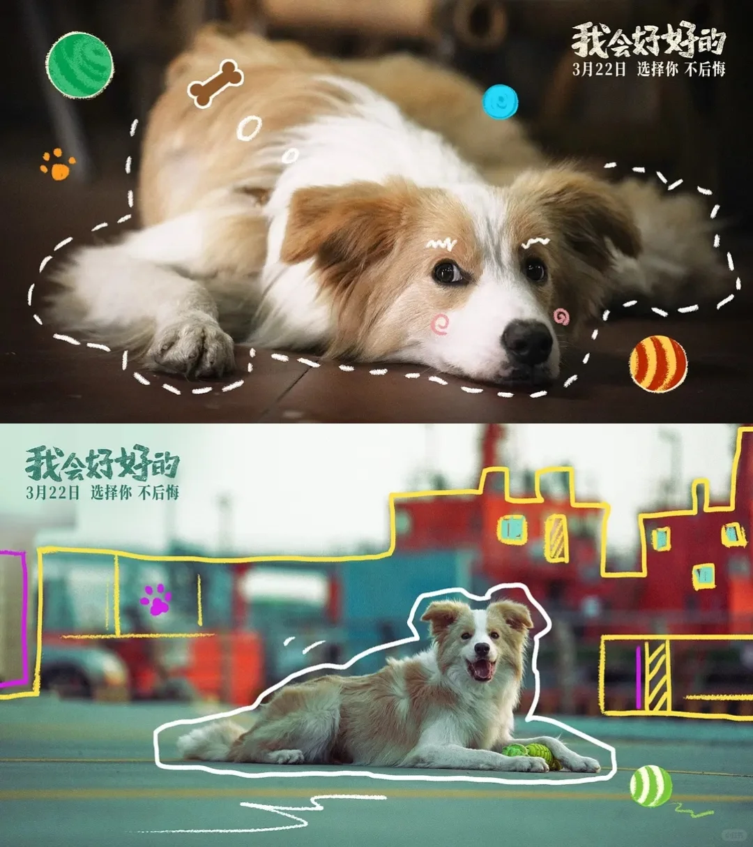 电影【我会好好的】（2025）