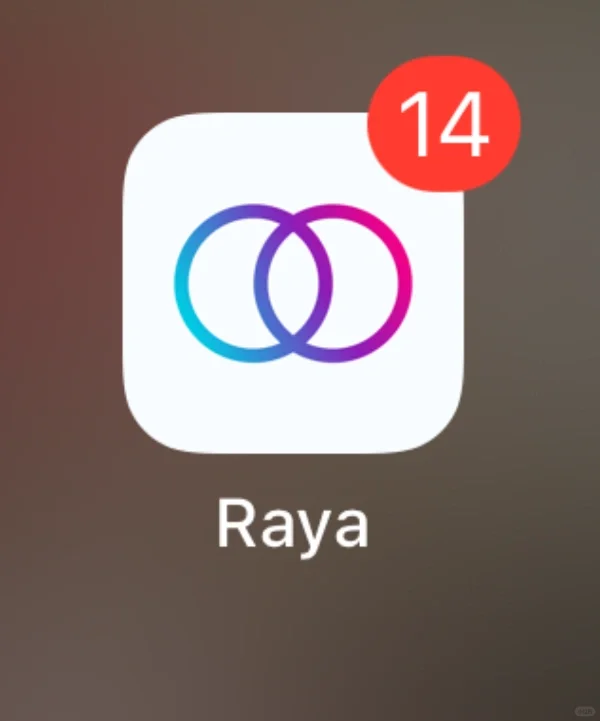 Raya-使用号称最高质量人类交友软件的感受