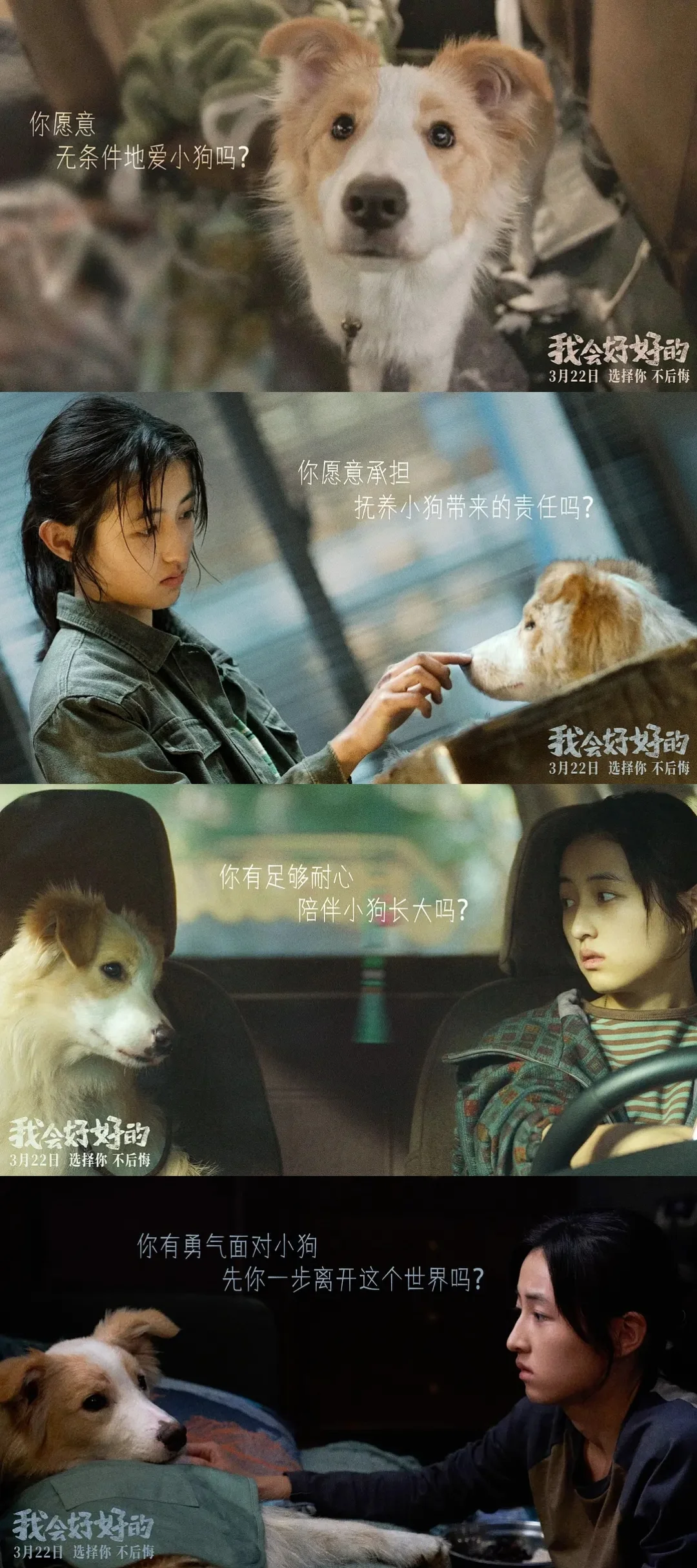 电影【我会好好的】（2025）