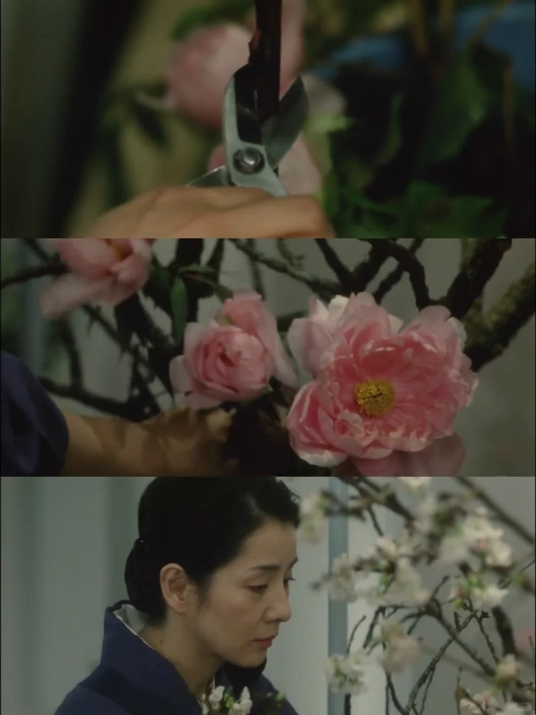 审美｜日本物哀美学电影《时雨之记》