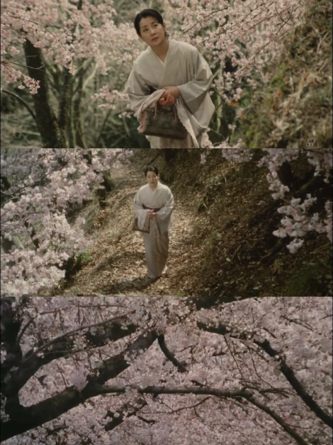 审美｜日本物哀美学电影《时雨之记》