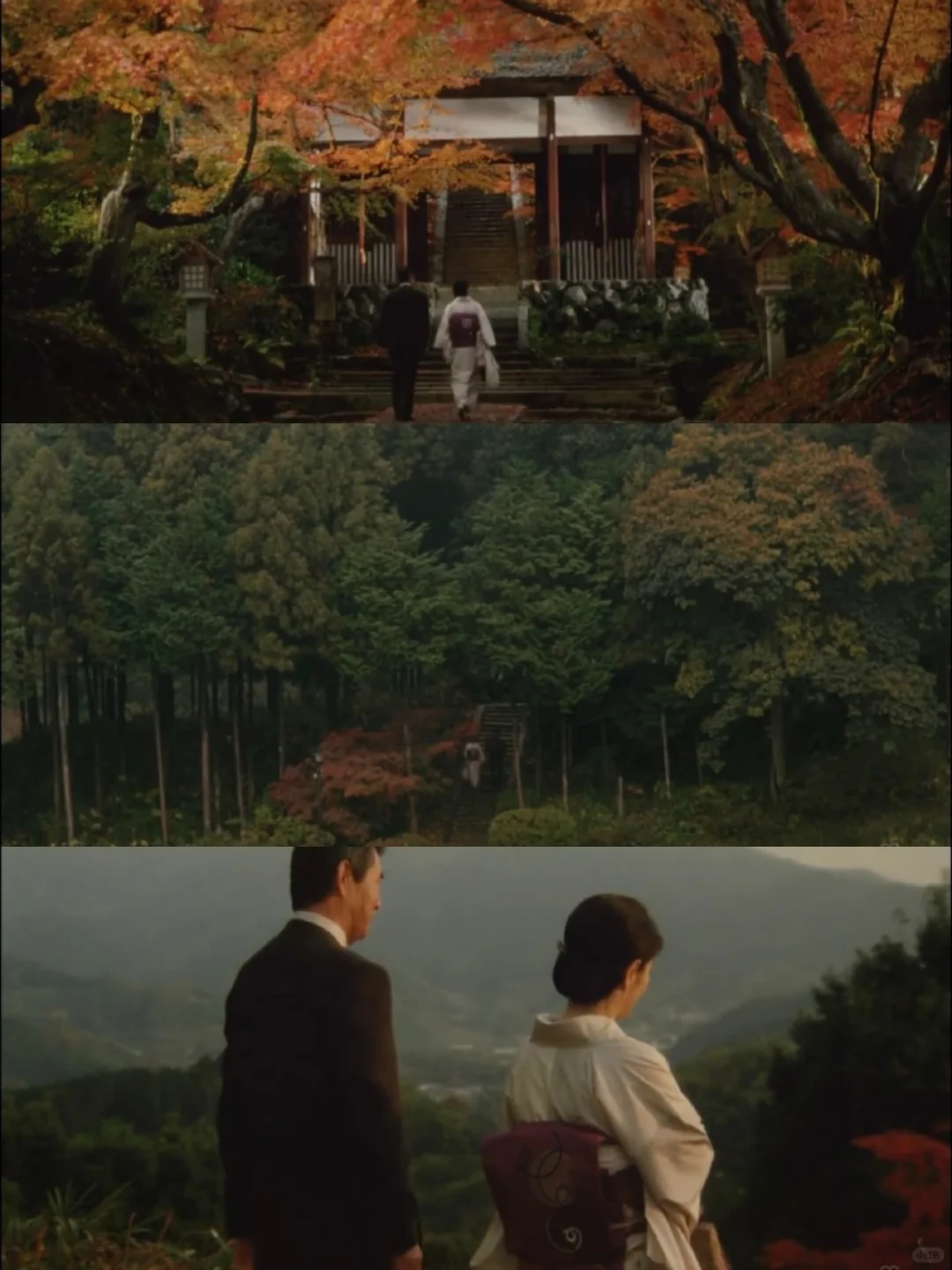 审美｜日本物哀美学电影《时雨之记》