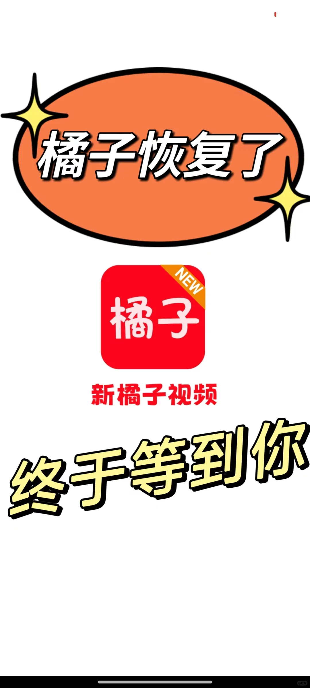 它又回来了，橘子恢复了！期待已久