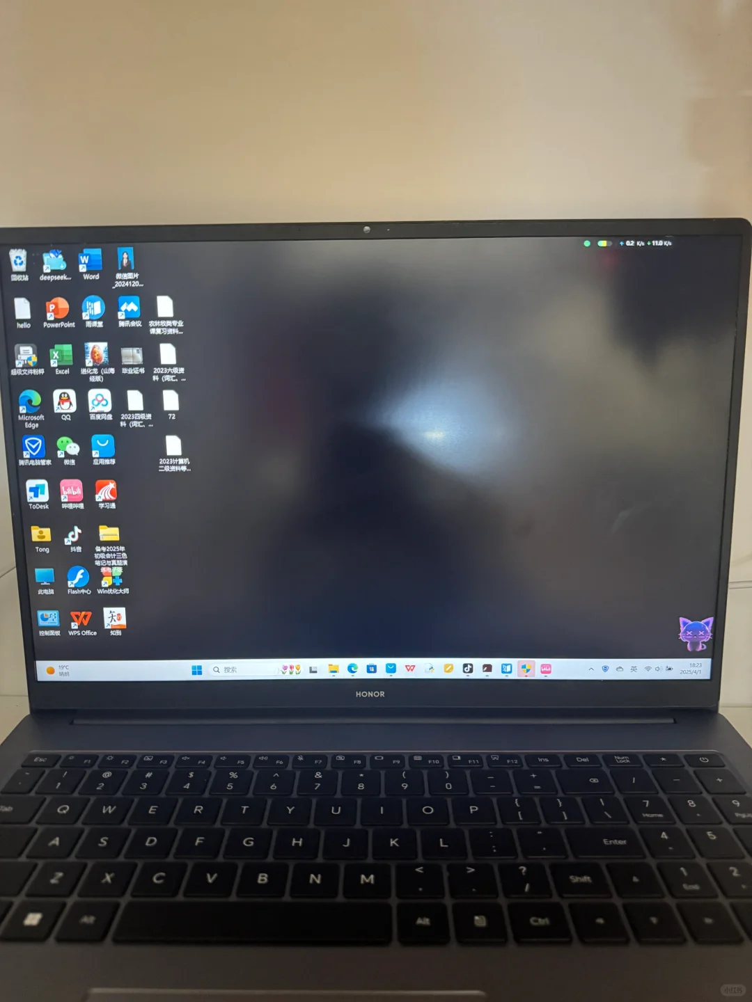 女大学生都用电脑干点什么