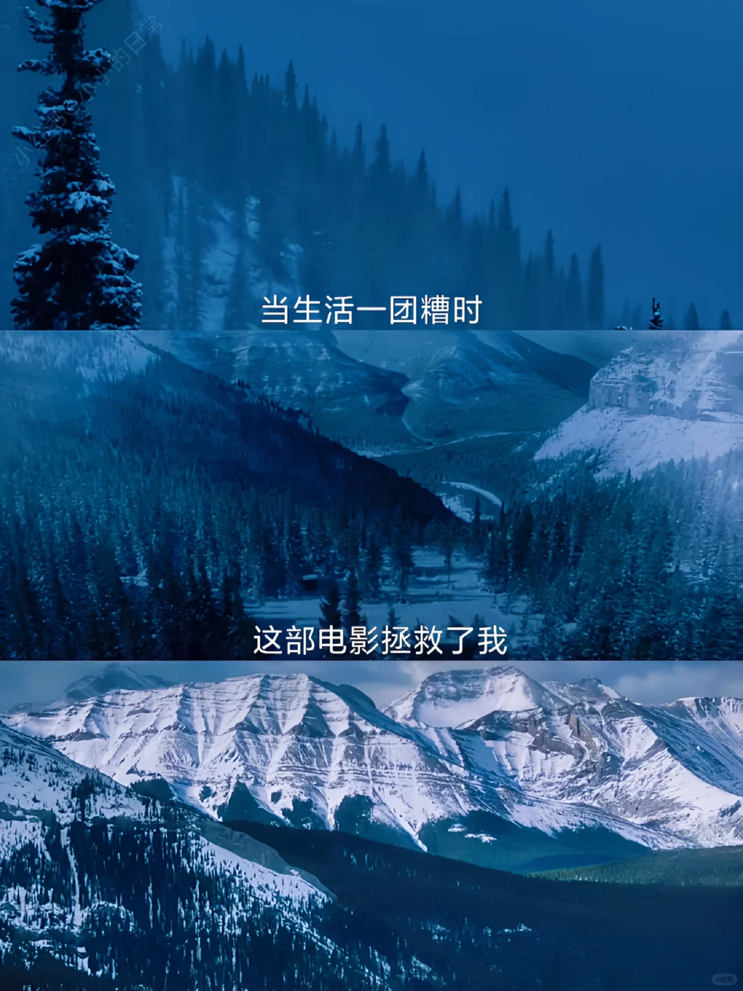 😭这是我近期看过蕞好的电影，没有之一❗