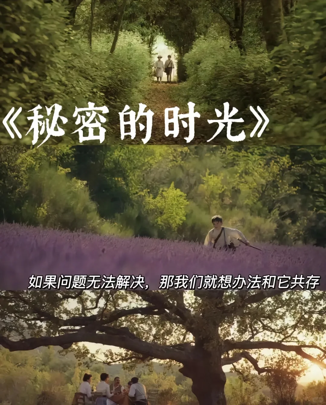 10部治愈系电影、看完你会感谢自己、人生必看