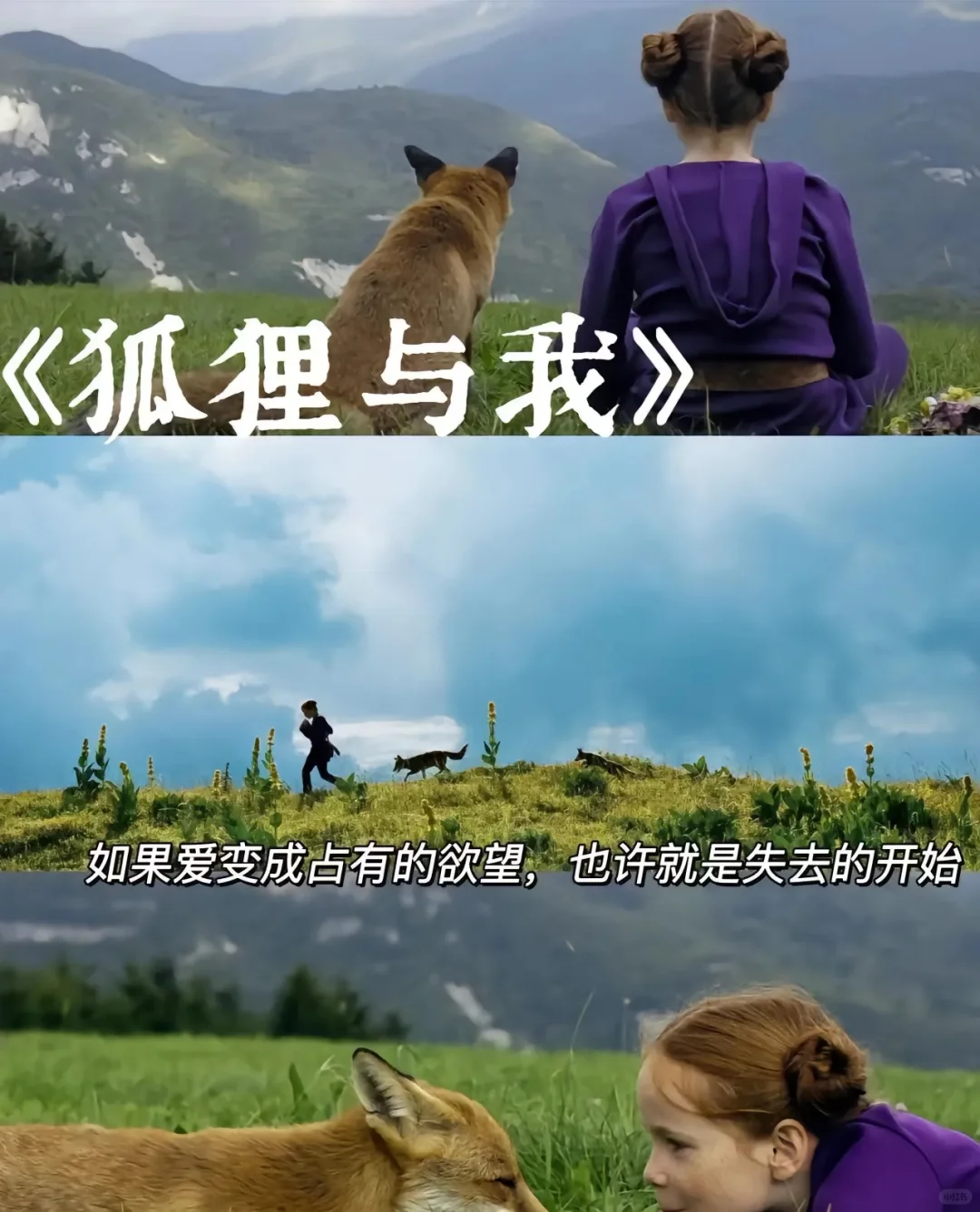 10部治愈系电影、看完你会感谢自己、人生必看