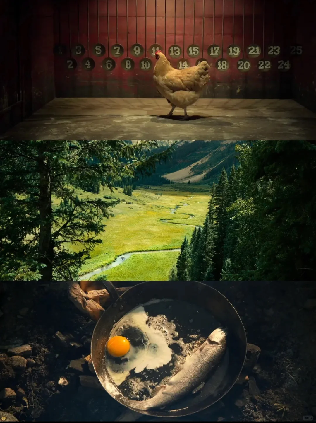 首播9.6分❗️❗️安利所有人都去看❗️❗