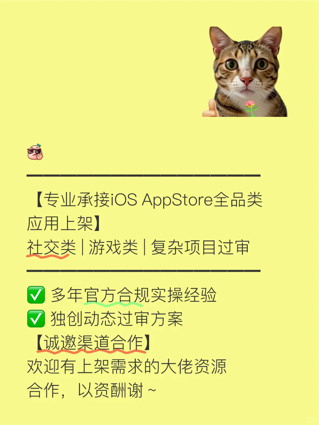 专业承接iOS AppStore全品类应用上架