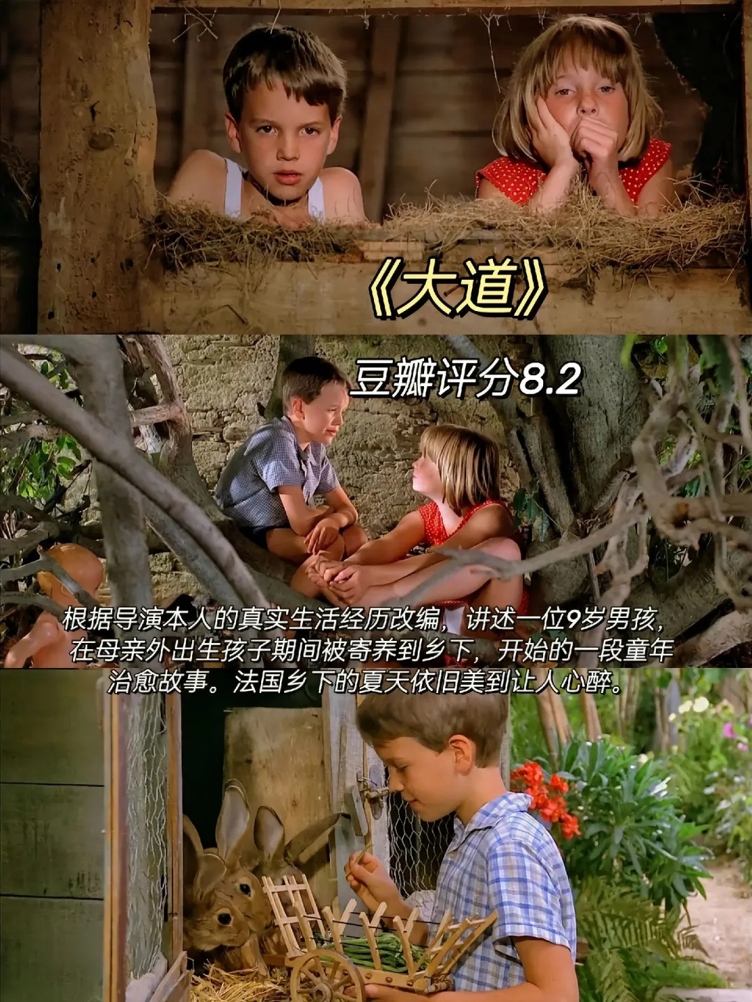 心情焦躁时、请狂刷这6部电影