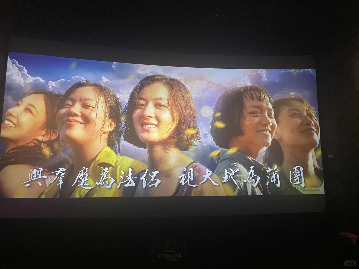 向阳花巨好看！！！