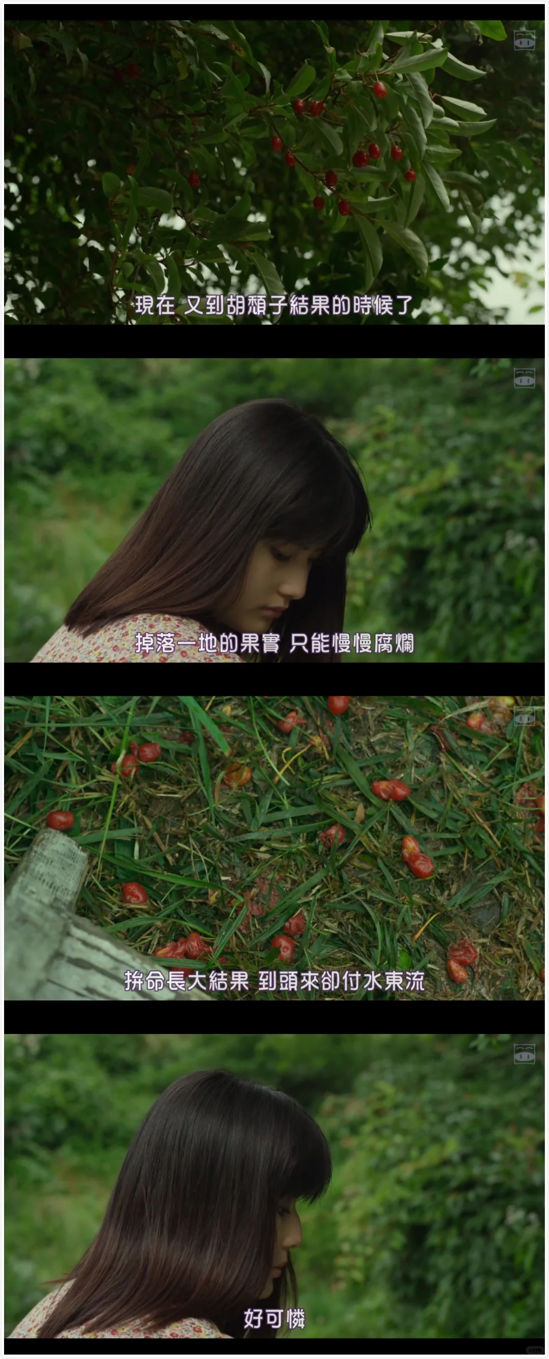 反复看这段我才明白……