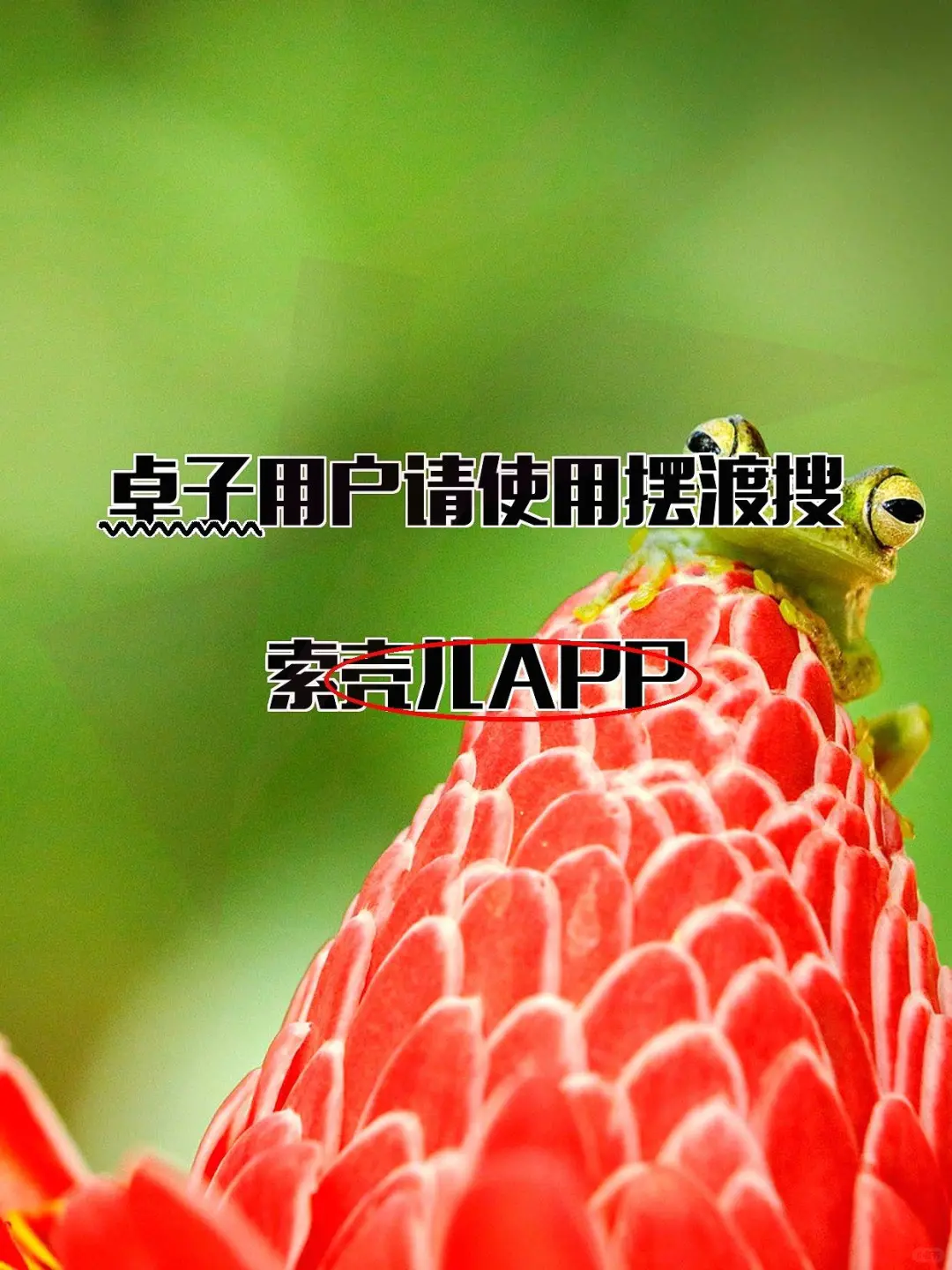 iOS超酷伪装追影神器