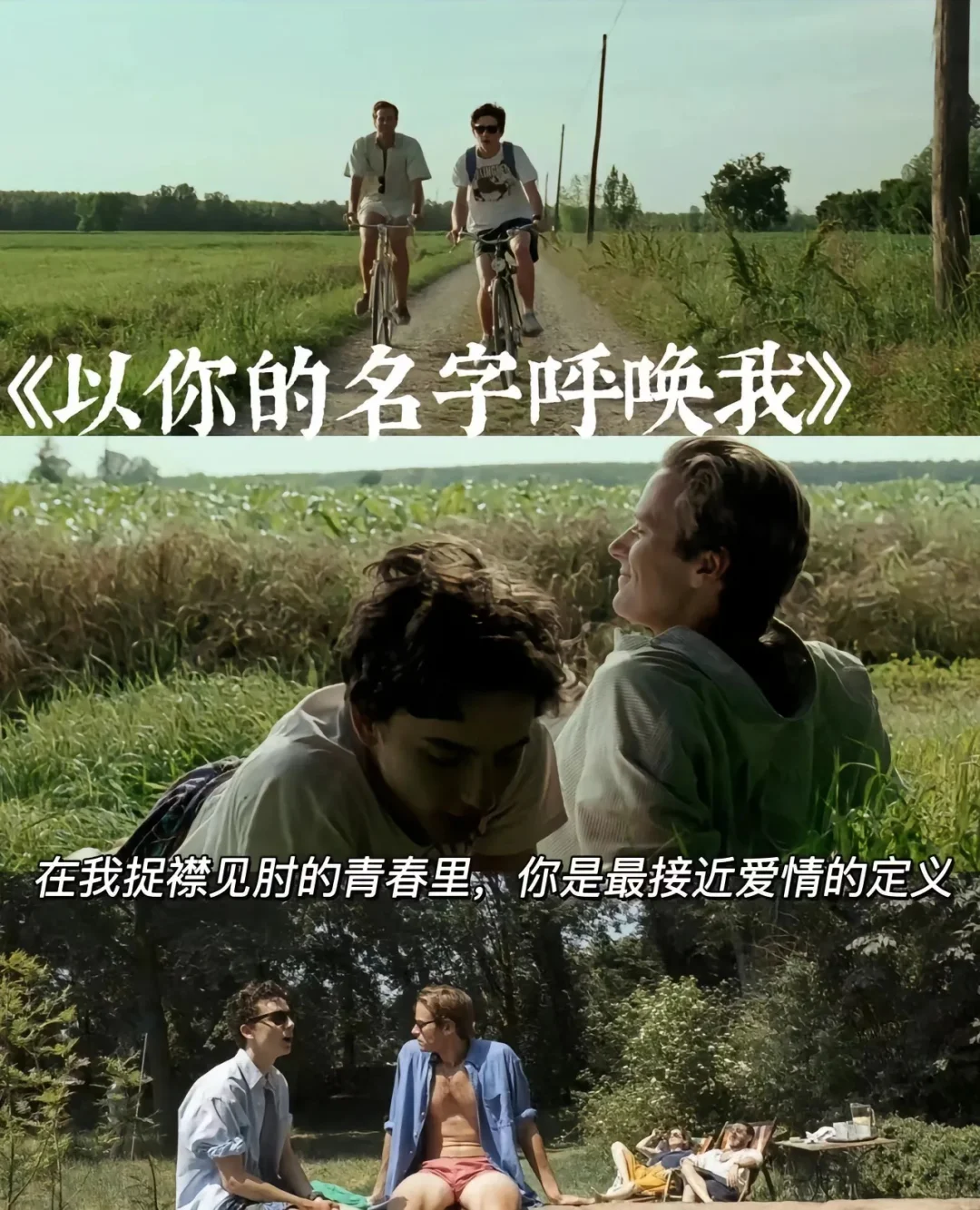 10部治愈系电影、看完你会感谢自己、人生必看