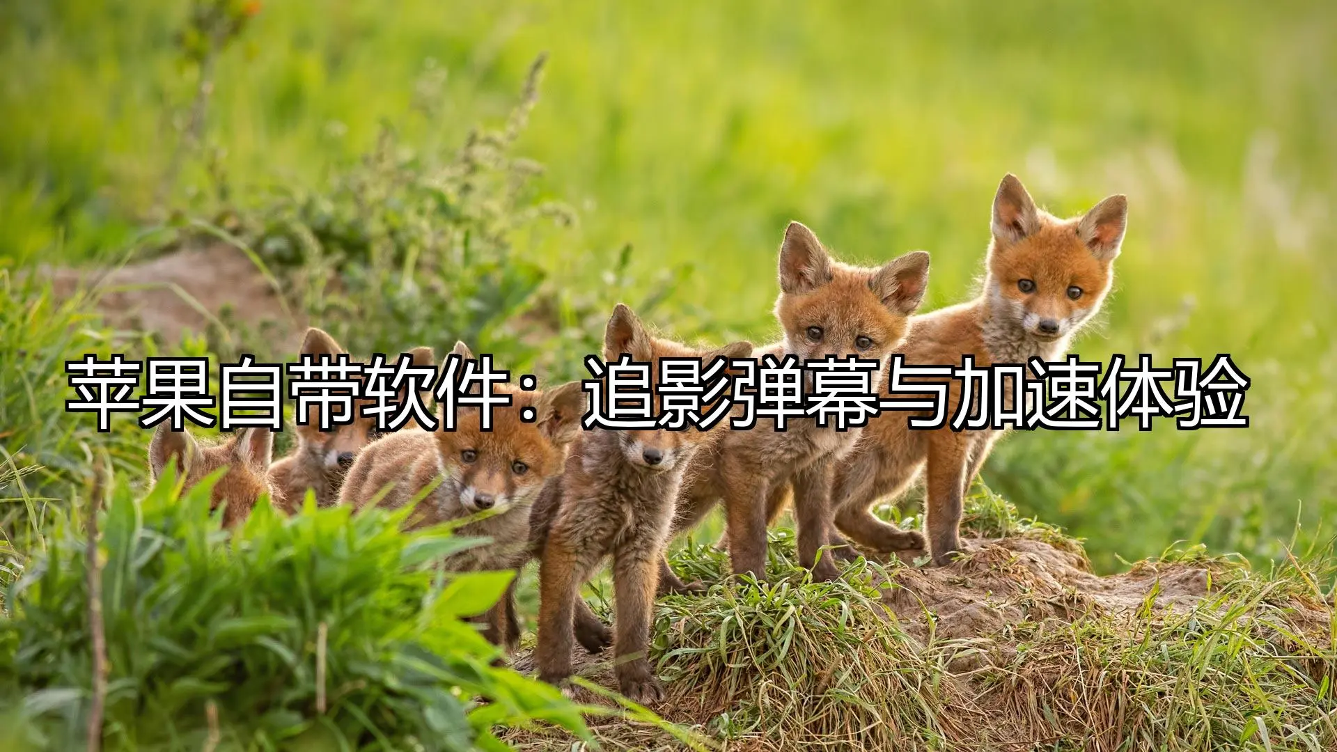 苹果自带软件：追影弹幕与加速体验