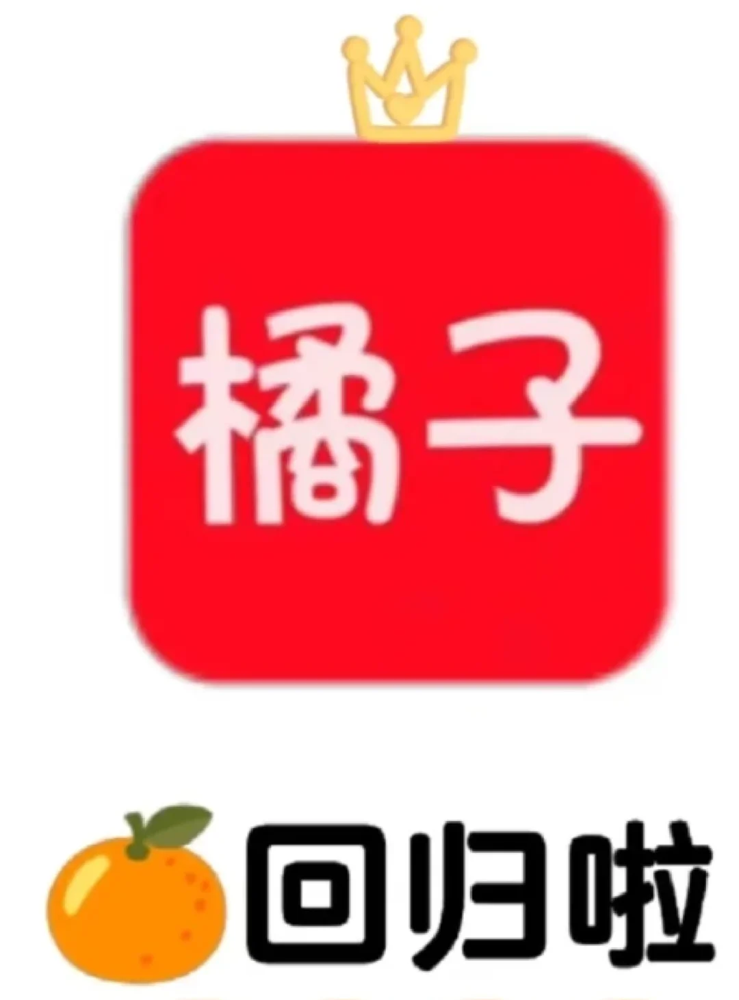 回来了，心心念念的橘子🍊