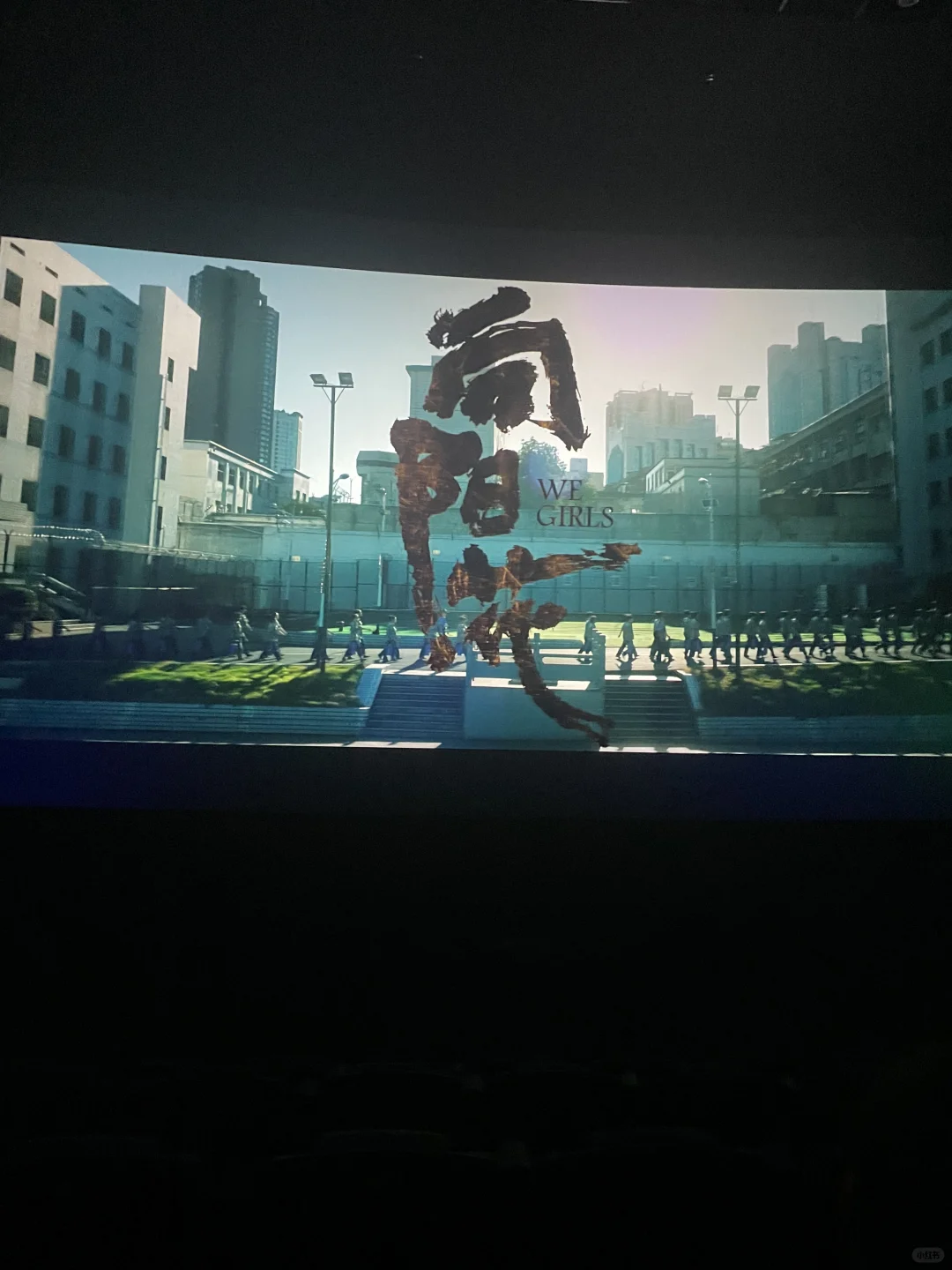 向阳花巨好看！！！