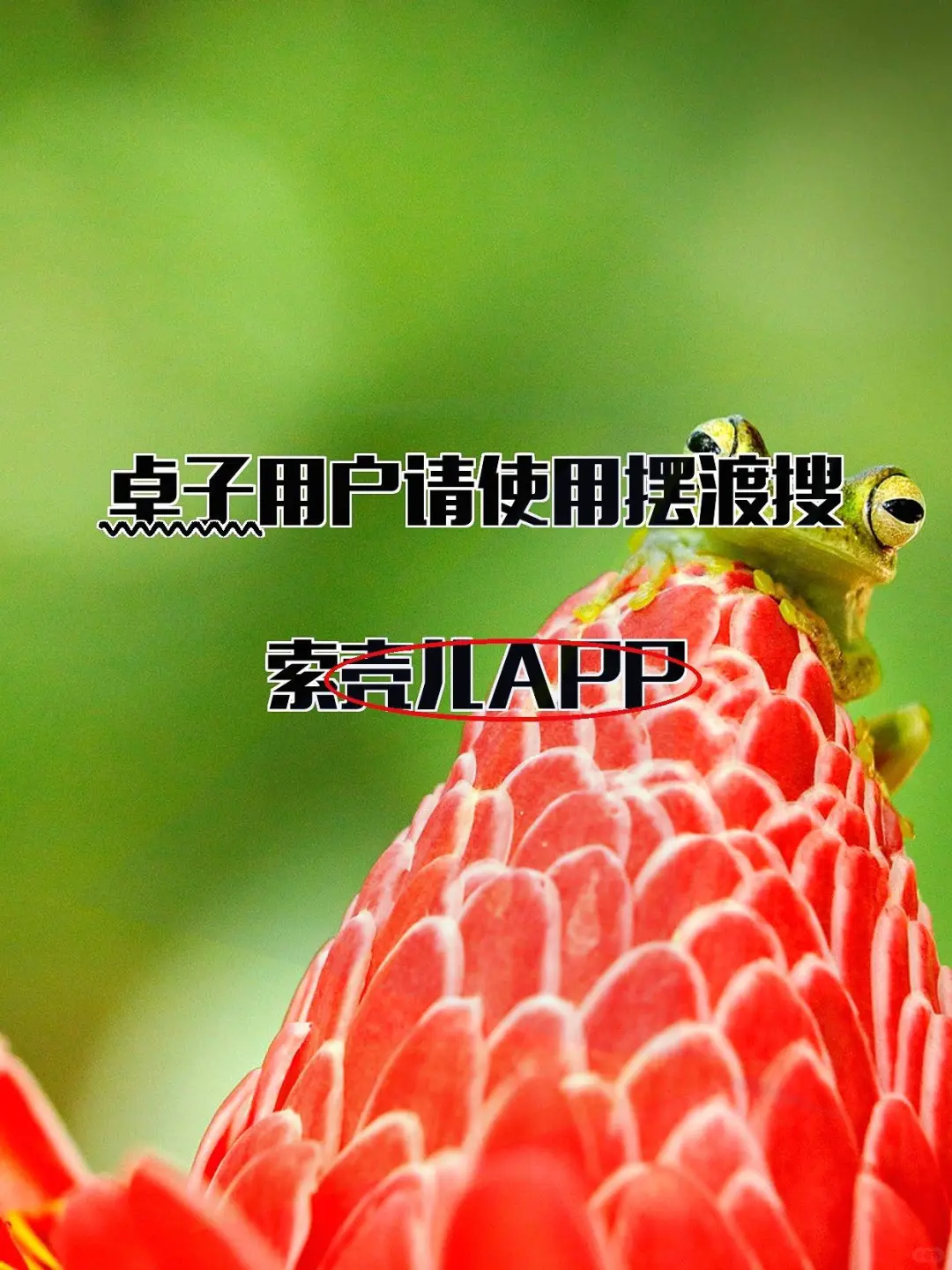 iOS新一期追影神器登场