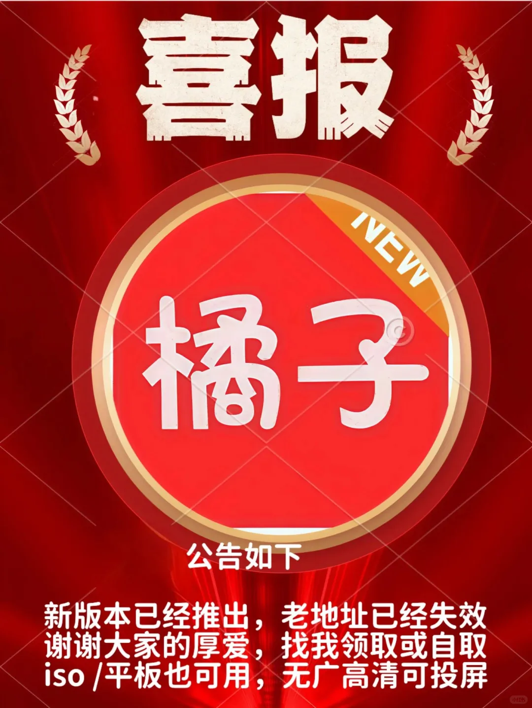 新橘子视频app回来啦！重磅回归！！！