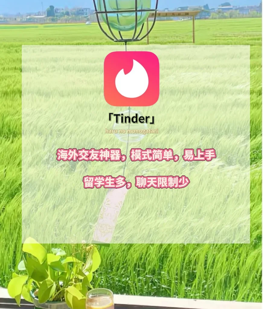 四款年轻人自用的社交软件