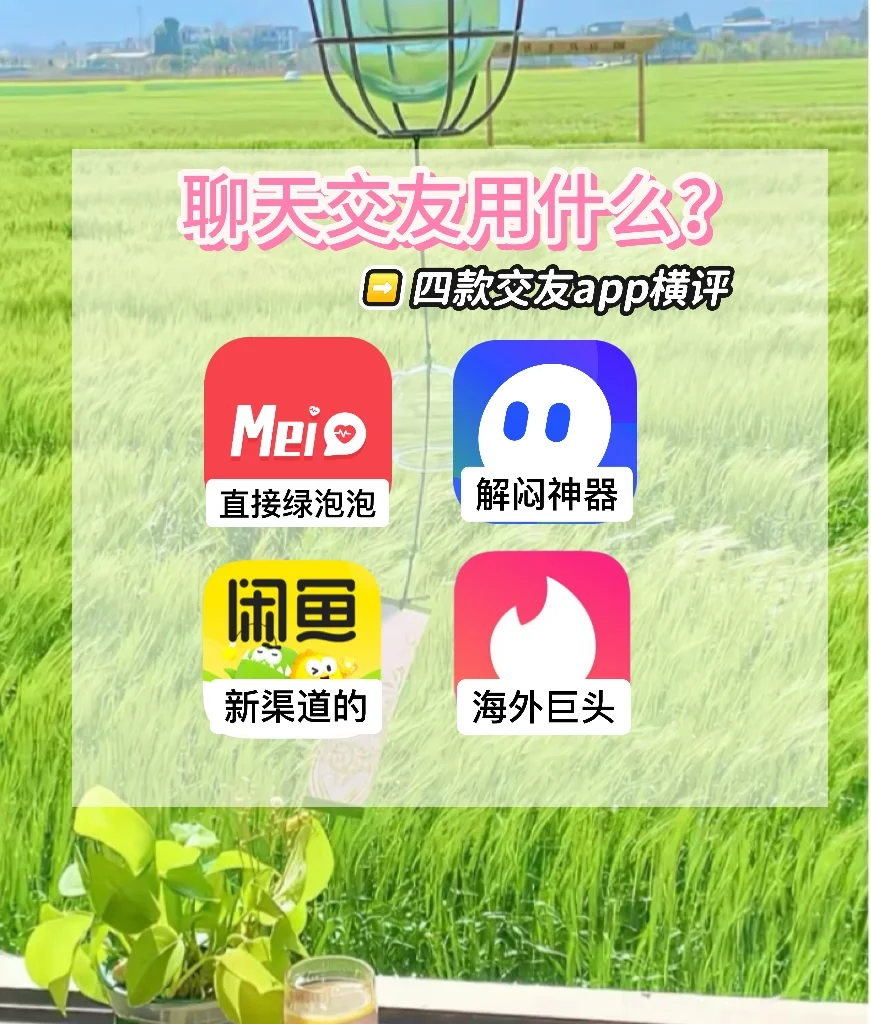 四款年轻人自用的社交软件