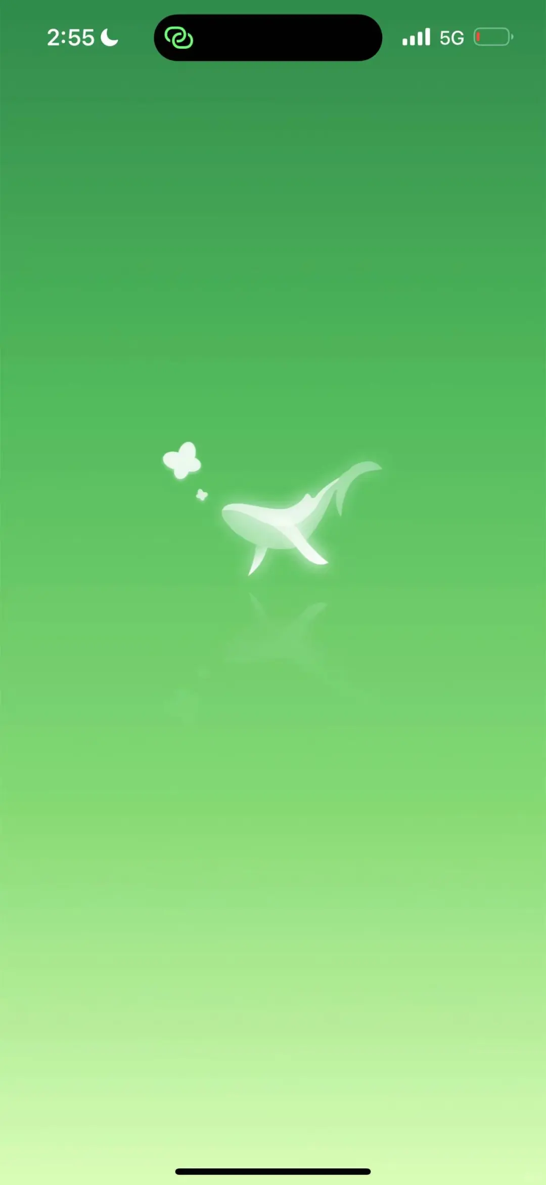 🟢flai聊天app一键下载✔️安卓✔️苹果