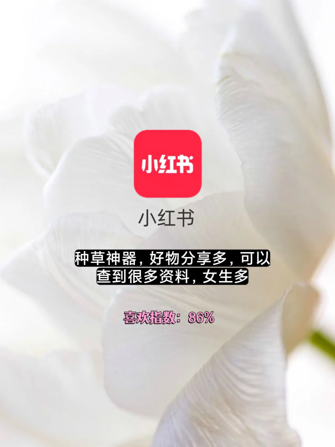 海王念念不忘的社交软件