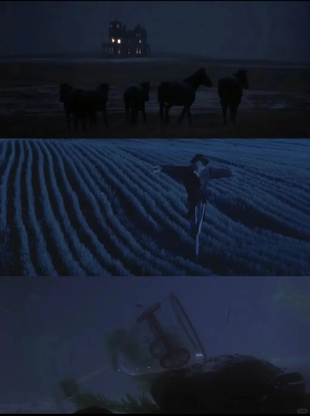 美爆了💥内耗必看❗️活着就该尽兴‼️