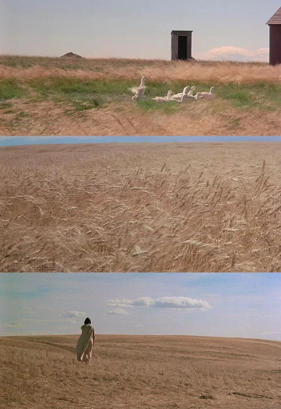 美爆了💥内耗必看❗️活着就该尽兴‼️