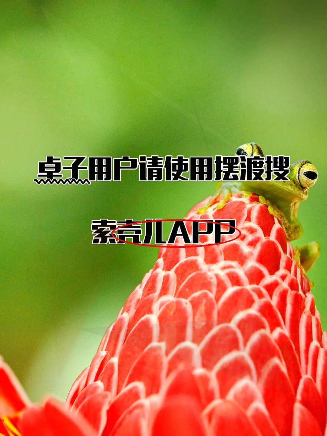 四款iOS伪装追影应用揭秘