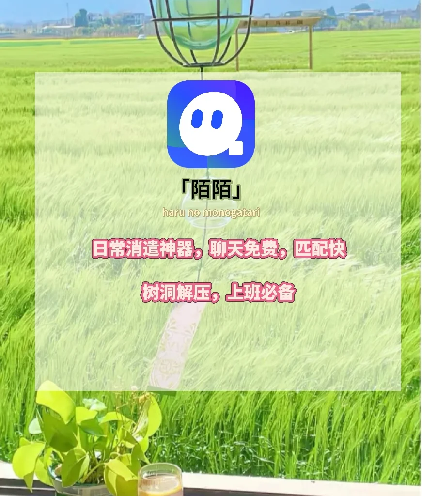 四款年轻人自用的社交软件