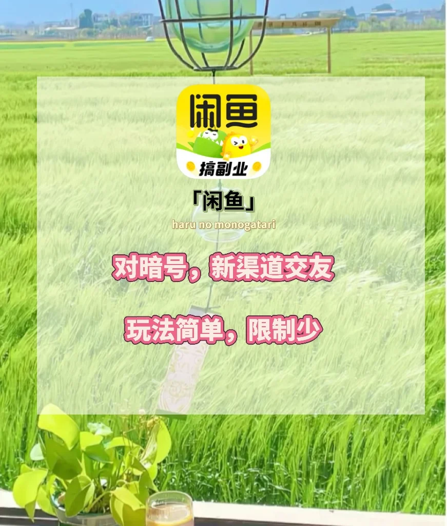 四款年轻人自用的社交软件