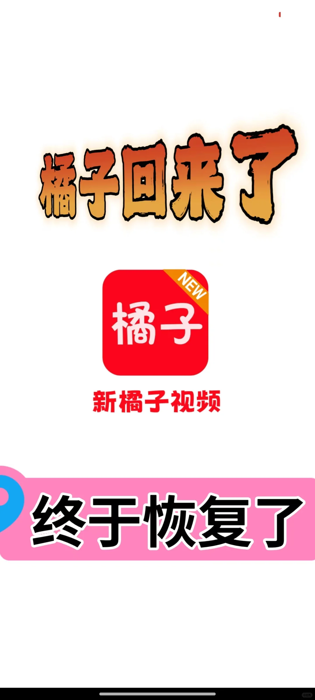 绝绝子❗，橘子又回归了，没广就是香🥳