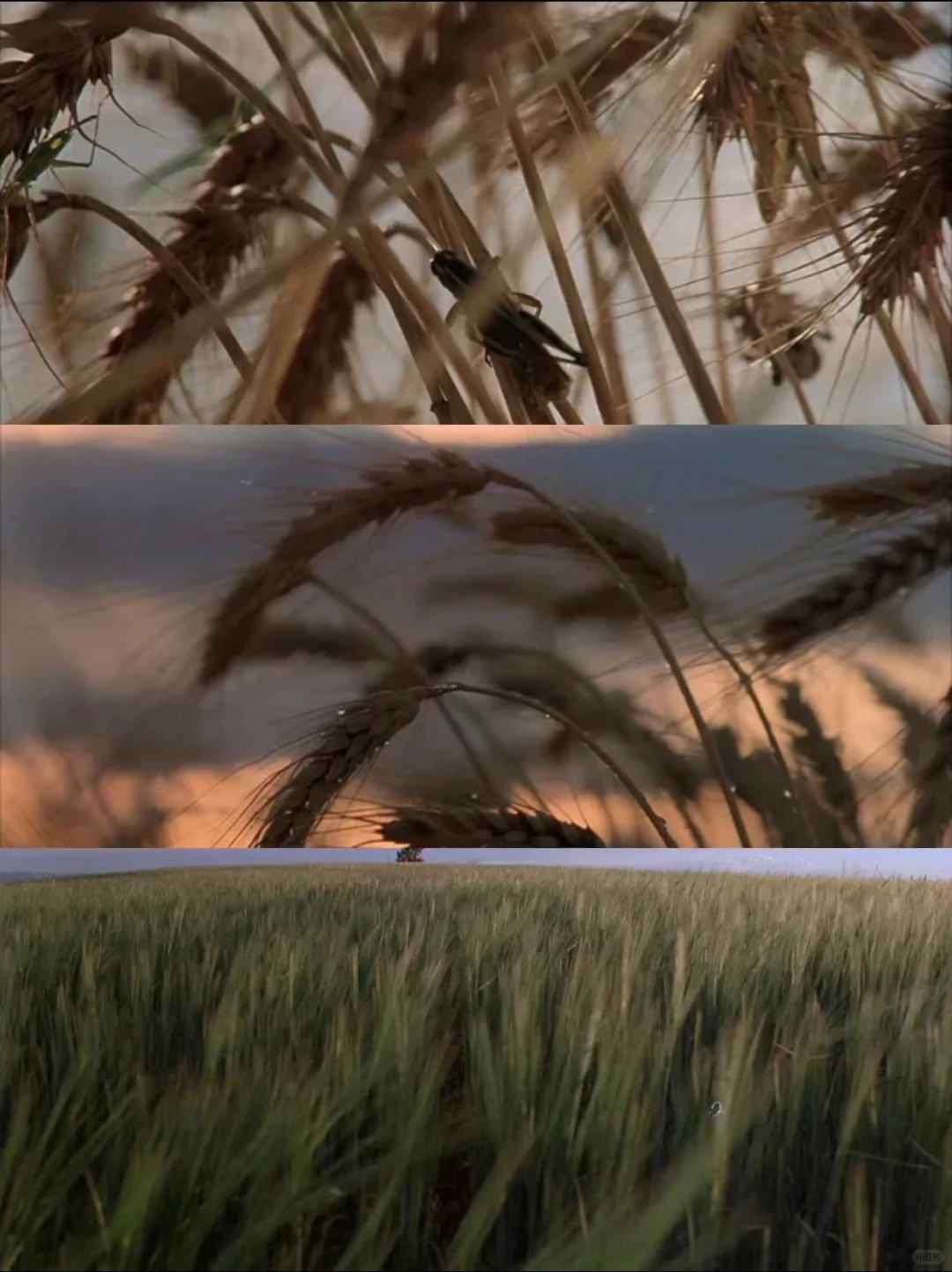 美爆了💥内耗必看❗️活着就该尽兴‼️