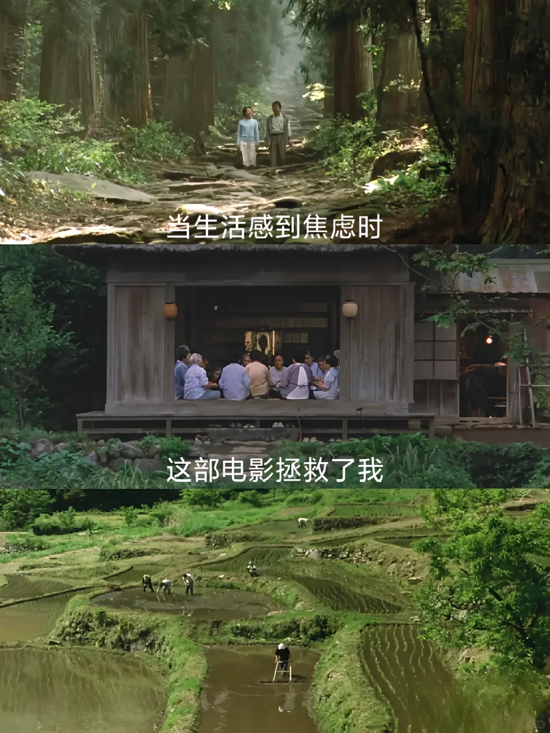 😭一部被名字耽误的治愈系电影❗巨推‼️