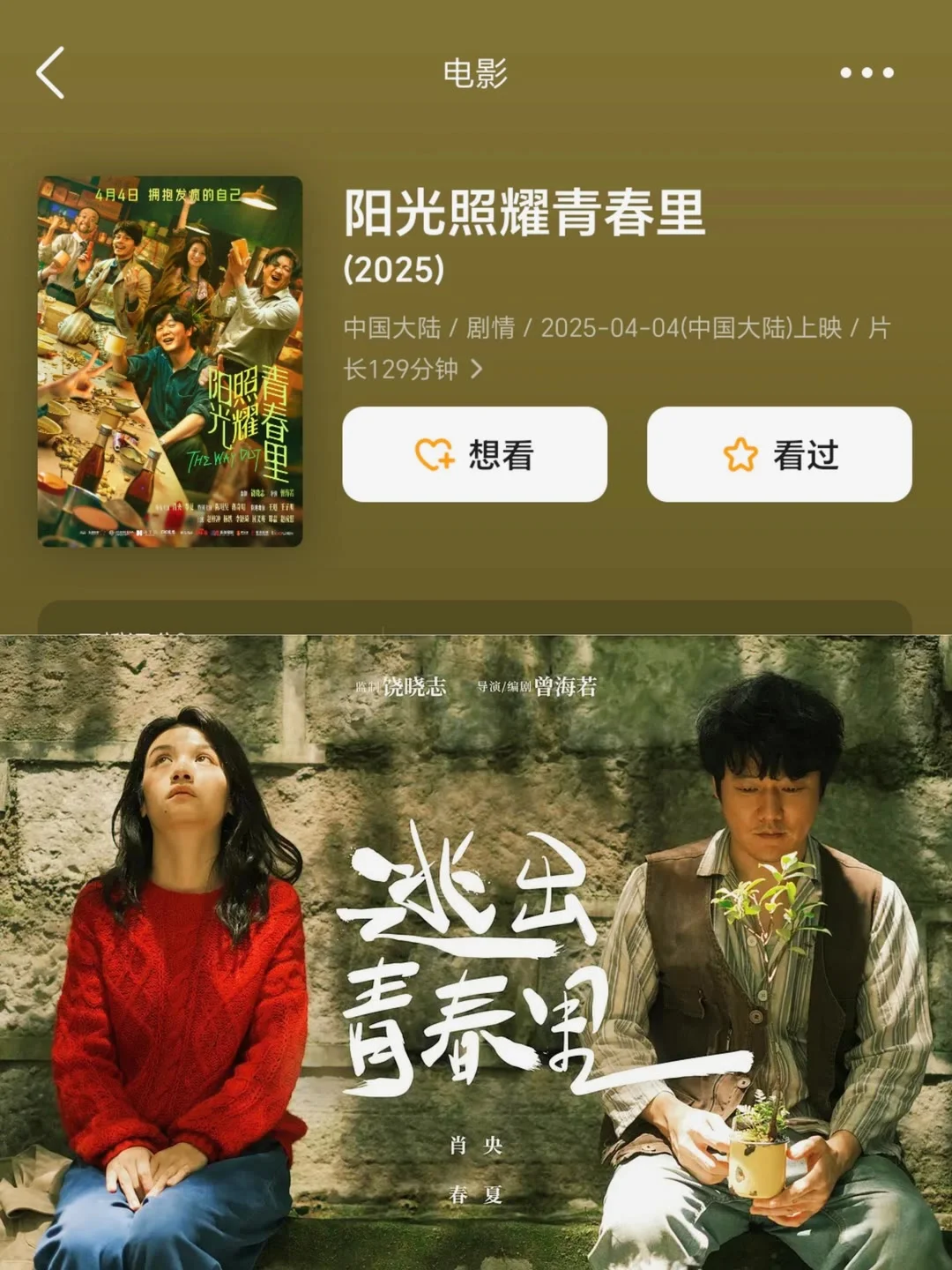 清明节即将上映的电影