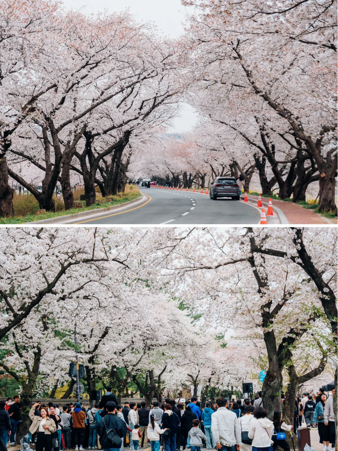 🇰🇷往返韩国10次，自由行这8个软件就够啦！