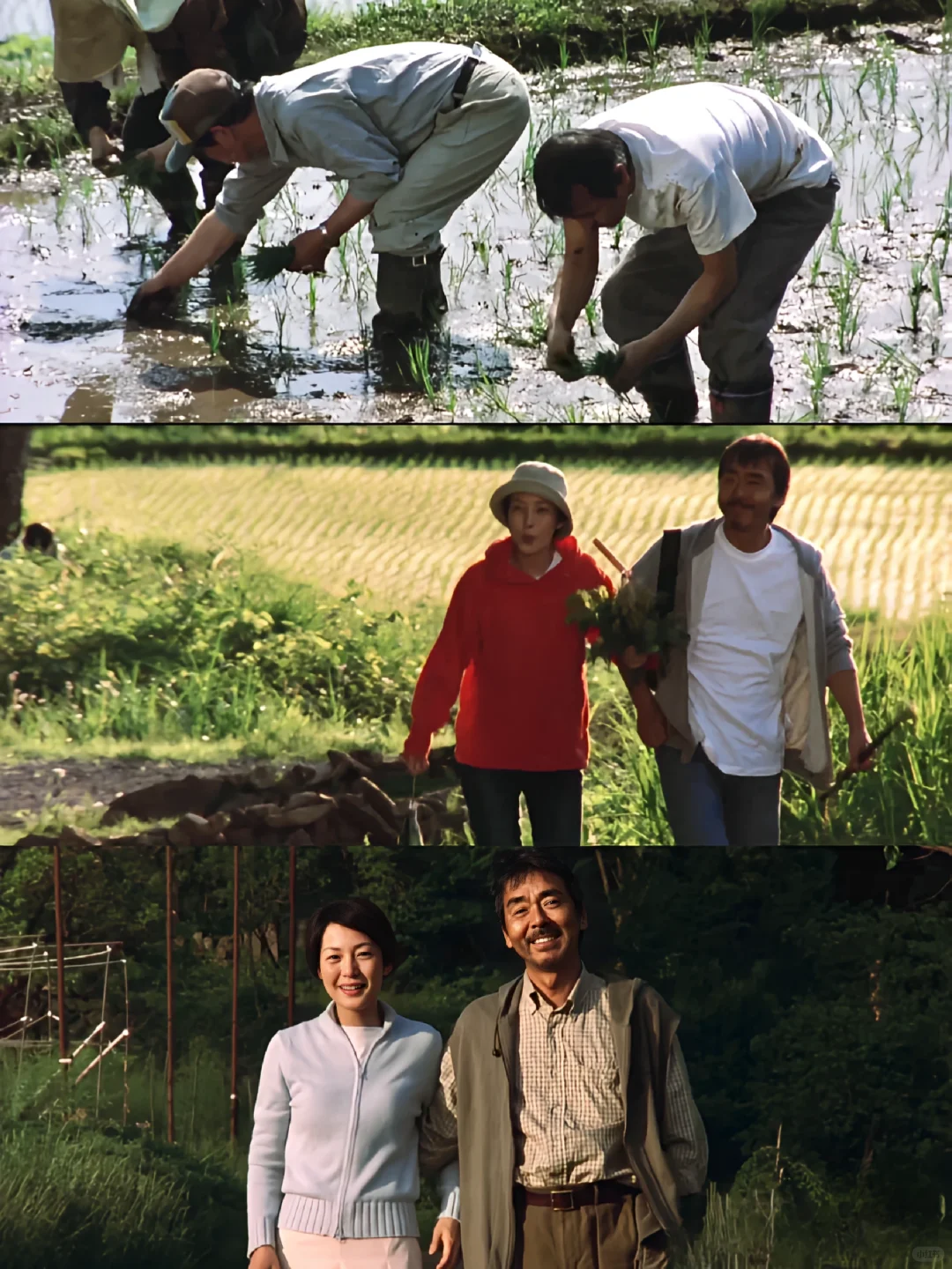 😭一部被名字耽误的治愈系电影❗巨推‼️