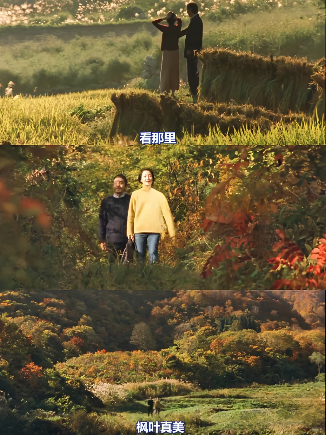 😭一部被名字耽误的治愈系电影❗巨推‼️