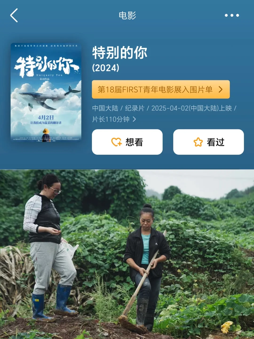 清明节即将上映的电影