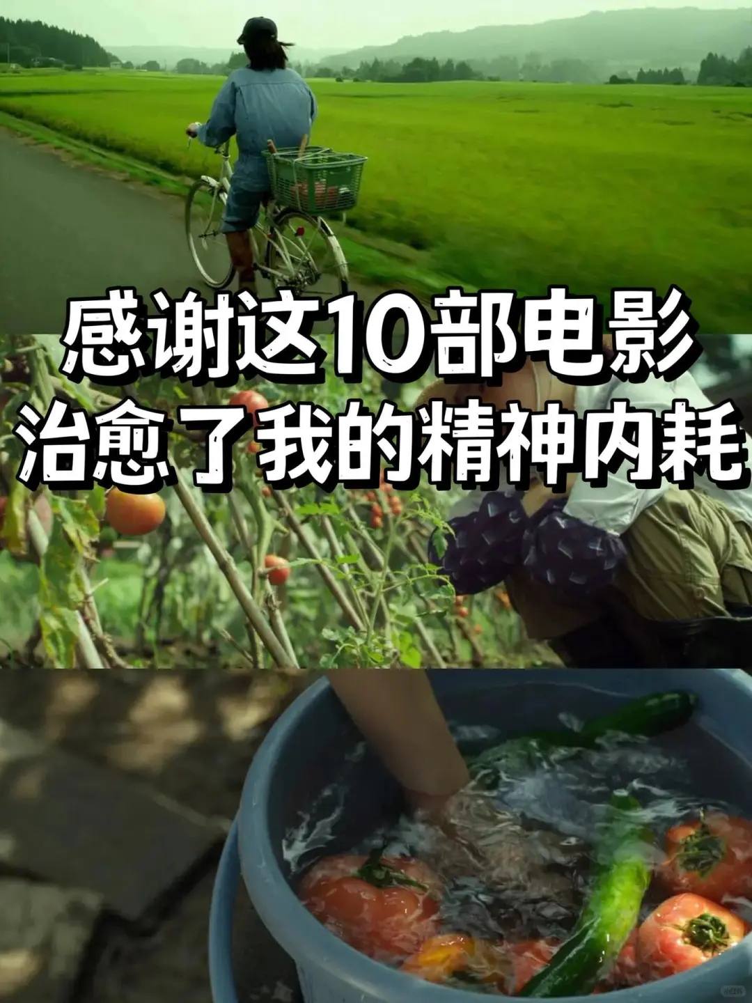 超适合宅家睡前放松看的🔟部解压治愈电影