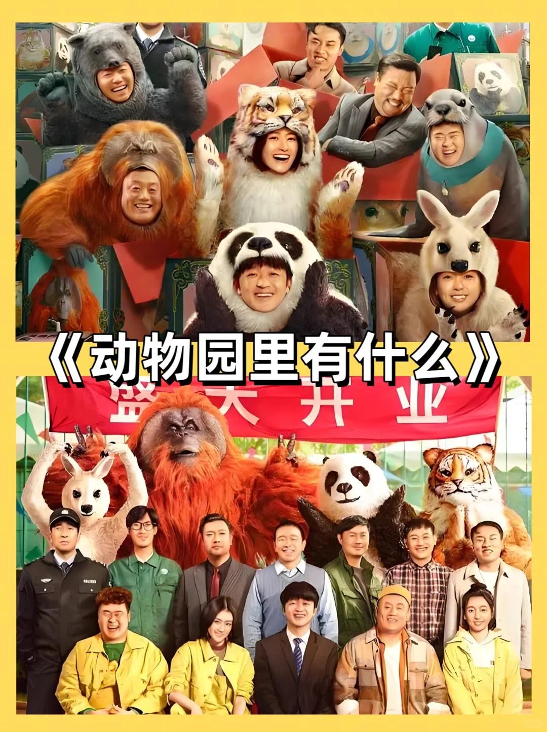 一定要看的喜剧，巨好笑‼️