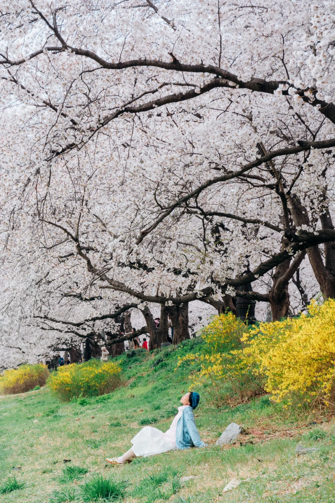 🇰🇷往返韩国10次，自由行这8个软件就够啦！