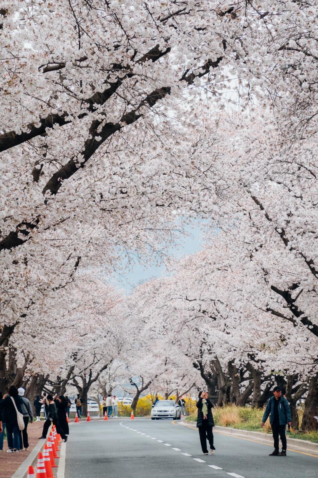 🇰🇷往返韩国10次，自由行这8个软件就够啦！