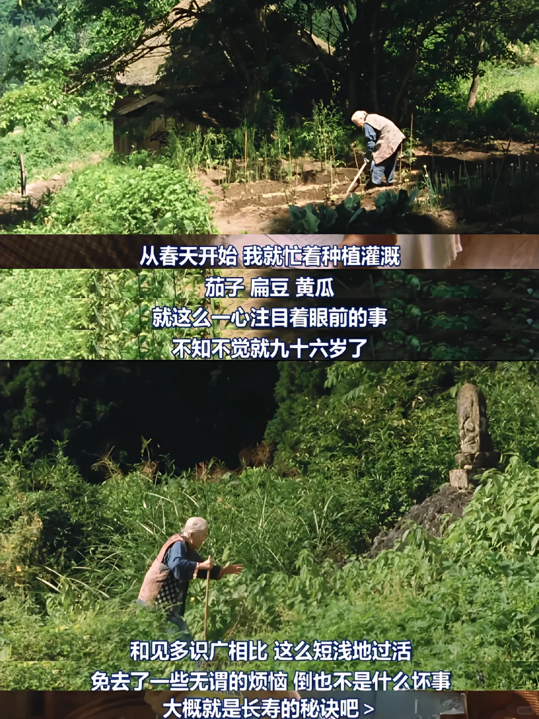 😭一部被名字耽误的治愈系电影❗巨推‼️