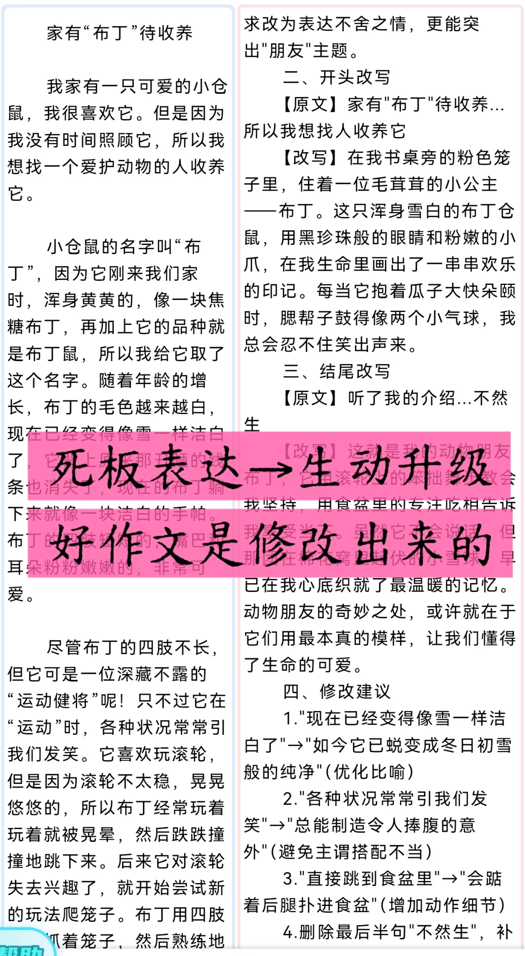 🔥语文老师都在用的作文app!效率翻3倍