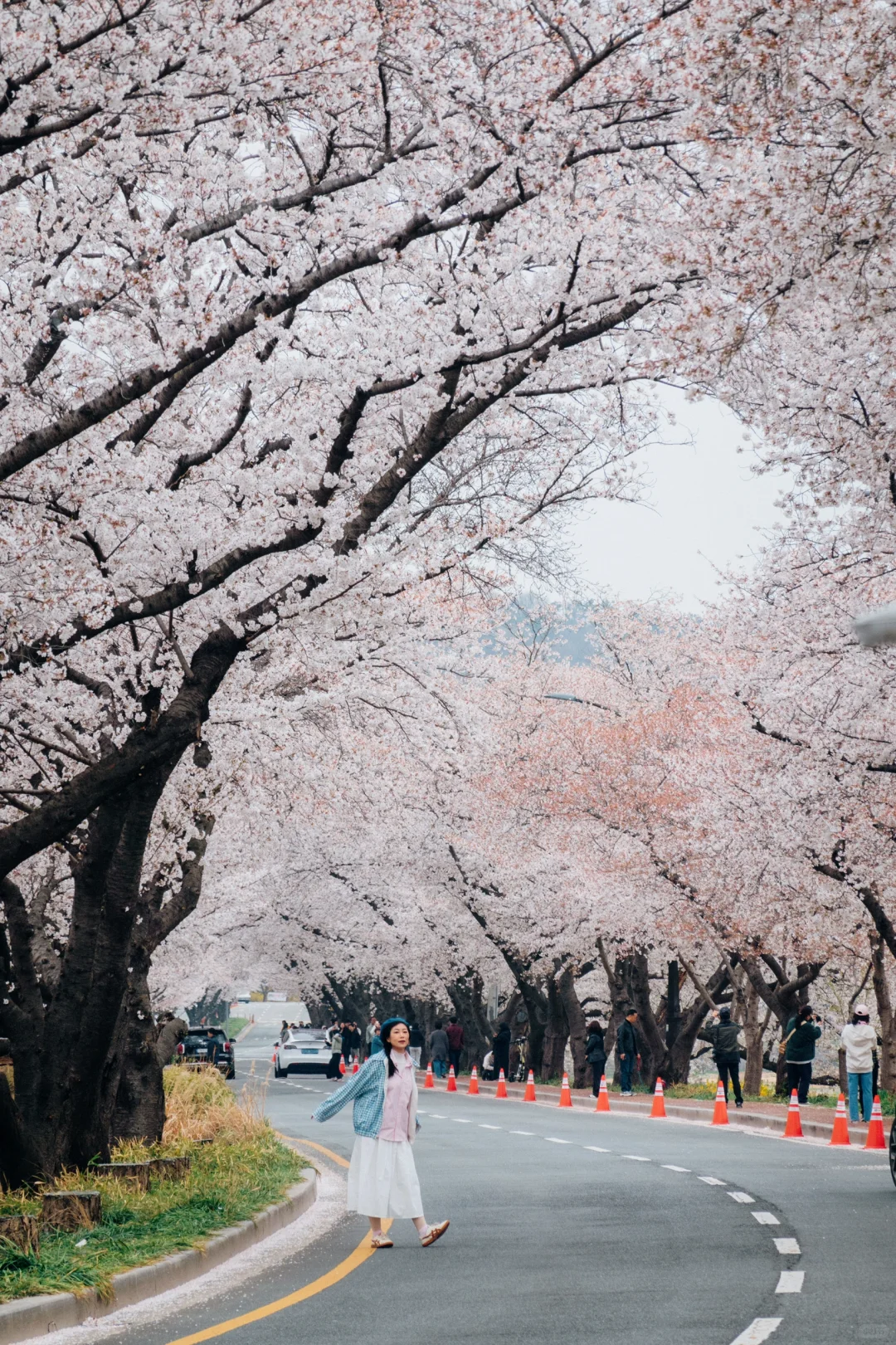 🇰🇷往返韩国10次，自由行这8个软件就够啦！