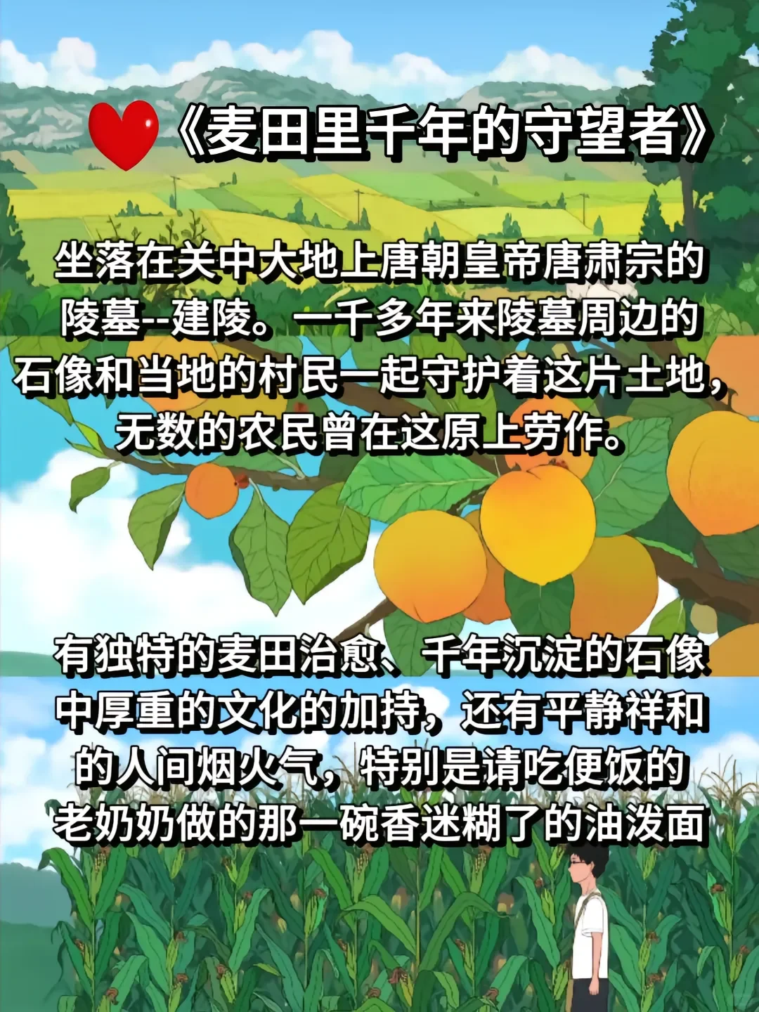 快看温暖又治愈的动漫