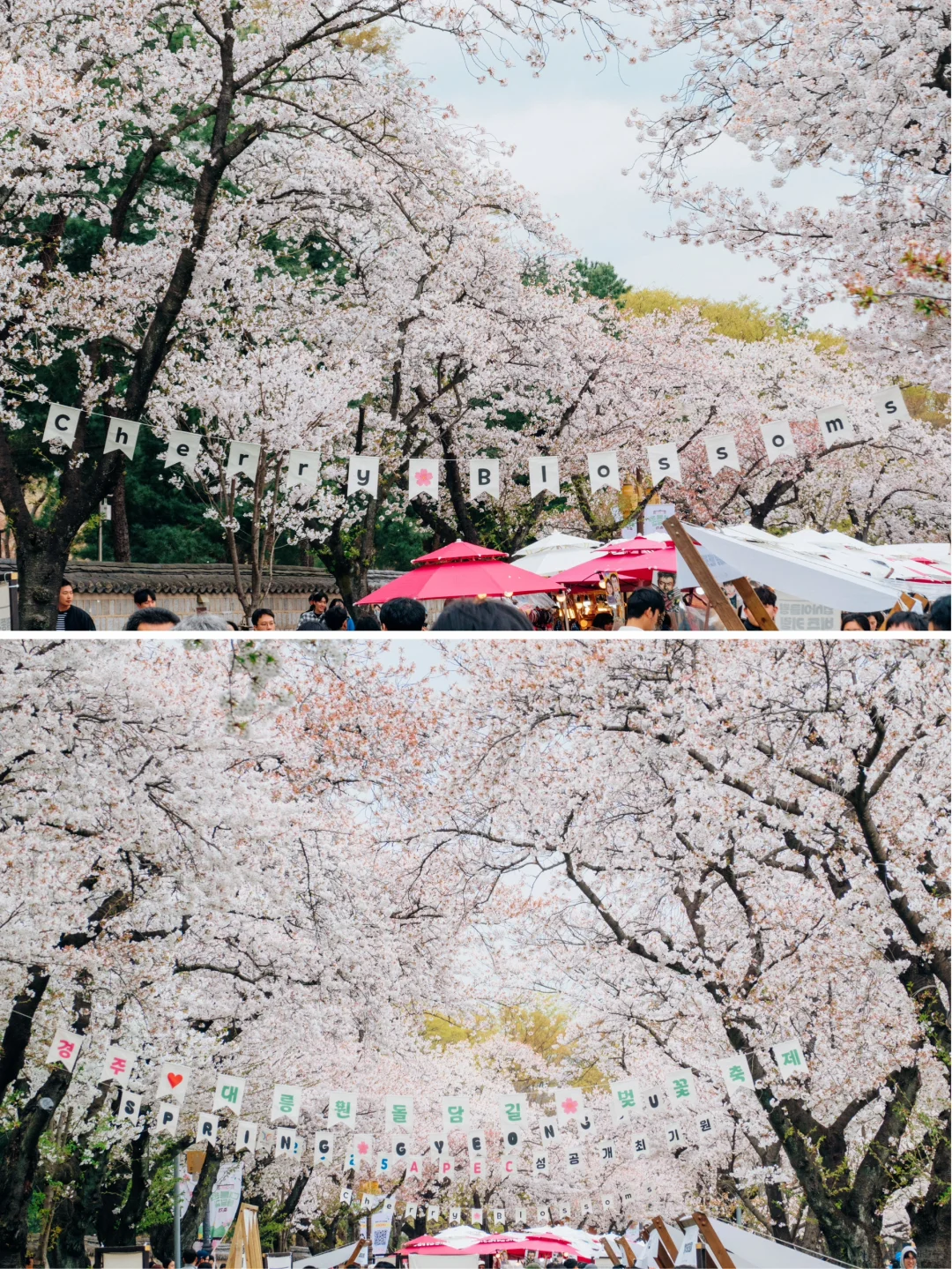 🇰🇷往返韩国10次，自由行这8个软件就够啦！