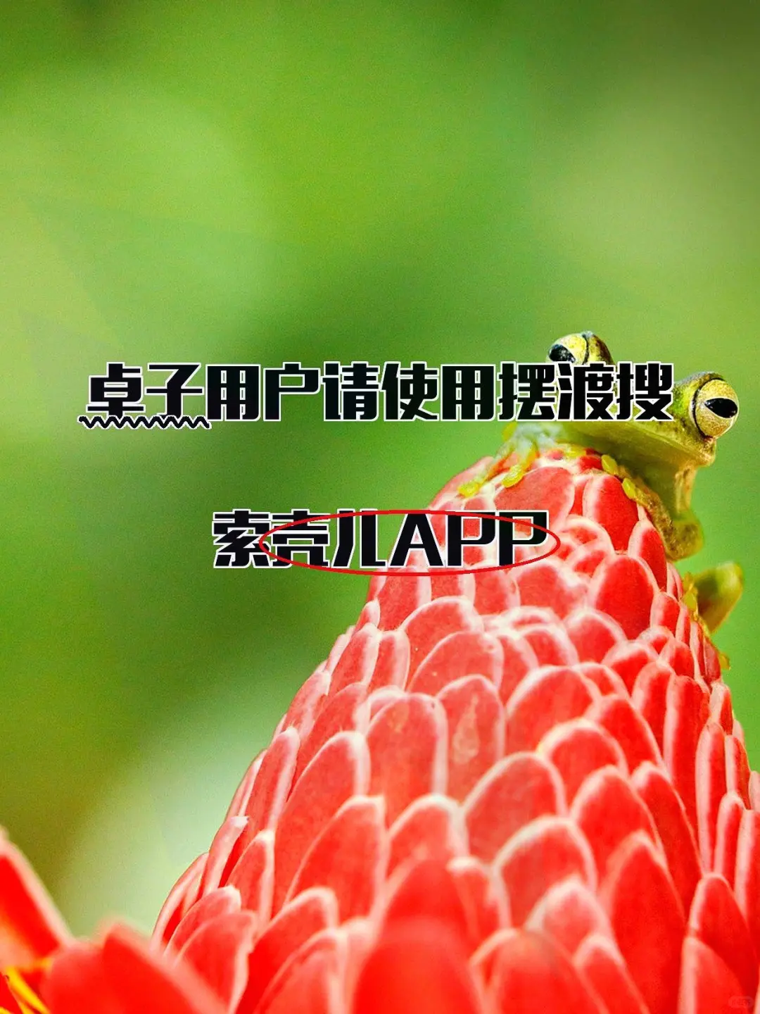 iOS 有弹幕！视频崩后找到的平替